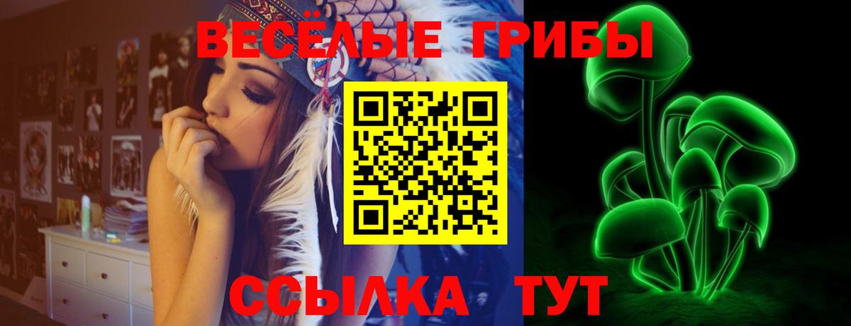 Избербаш  Галлюциногенные грибы Cubensis  Псилоцибиновые грибы мухоморы  Вход с VPN 