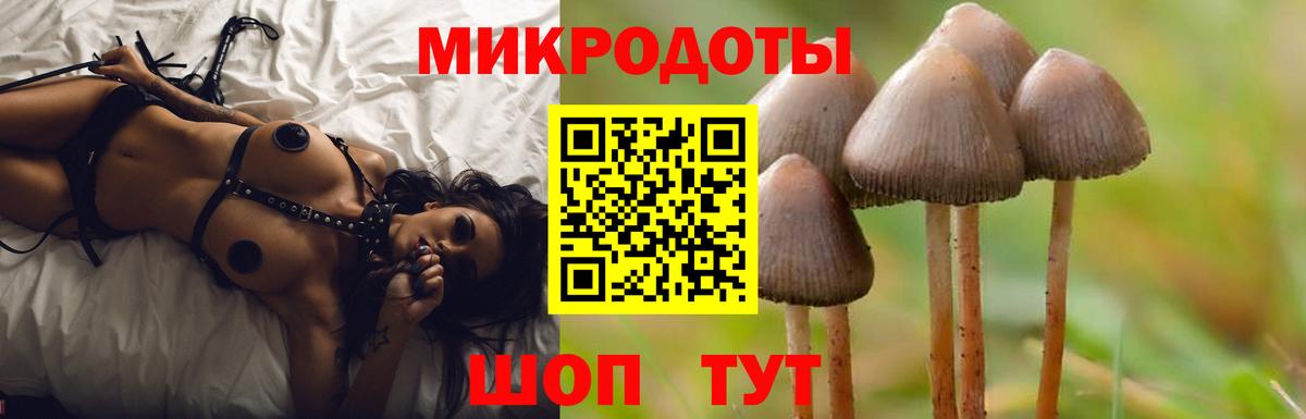Галлюциногенные грибы MAGIC MUSHROOMS Избербаш